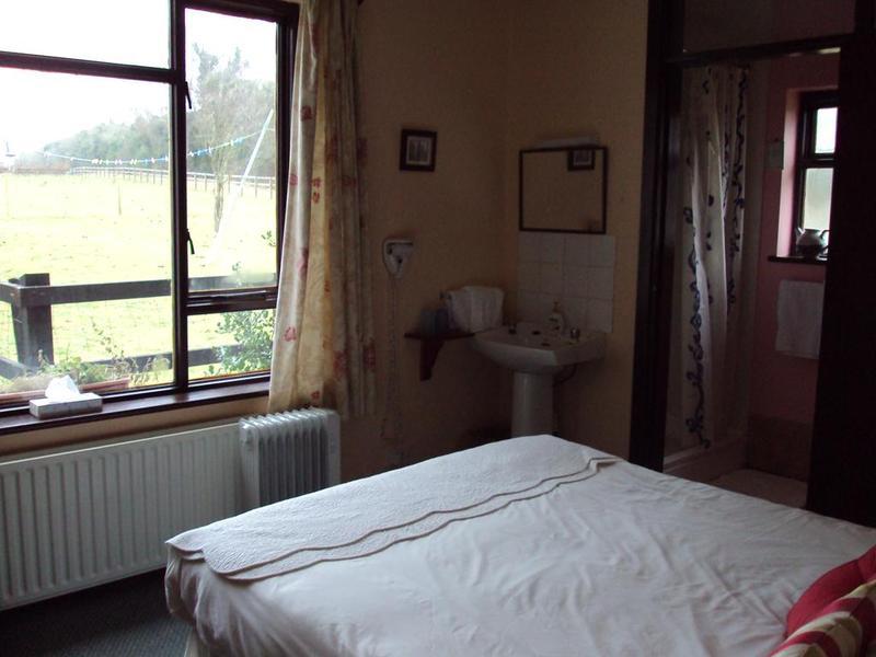Belmont House Apartment Waterford Luaran gambar